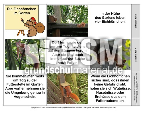 Leporello-Eichhörnchen-Geschichten-2.pdf